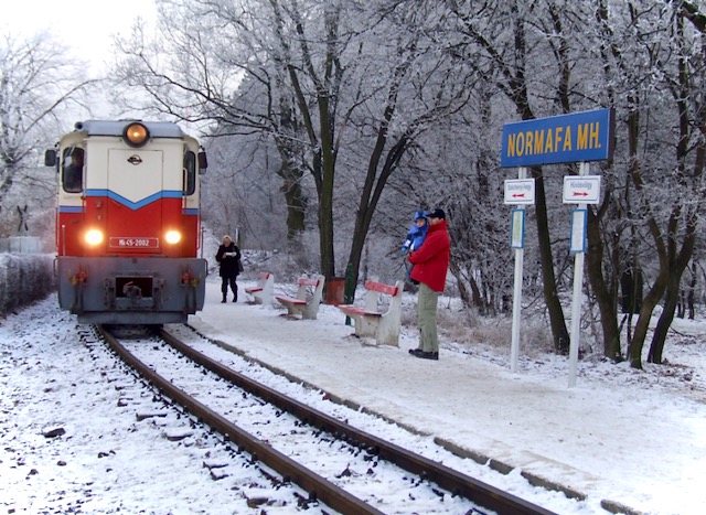 Budapest New Year Tips Normafa Hills Narrow Gauge Train Ride